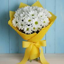 Букет цветов из:  Хризантемы в Подстепки