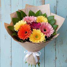 Букет цветов из:  Герберы #REPLACE_PRED# Подстепки