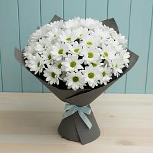 Букет цветов из:  Хризантемы в Подстепки