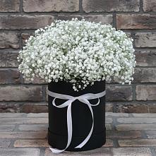 Цветочная композиция из Гипсофила в шляпной коробке #REPLACE_PRED# Подстепки